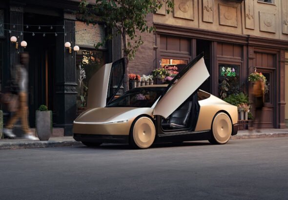 Tesla's Sporty Robotaxi